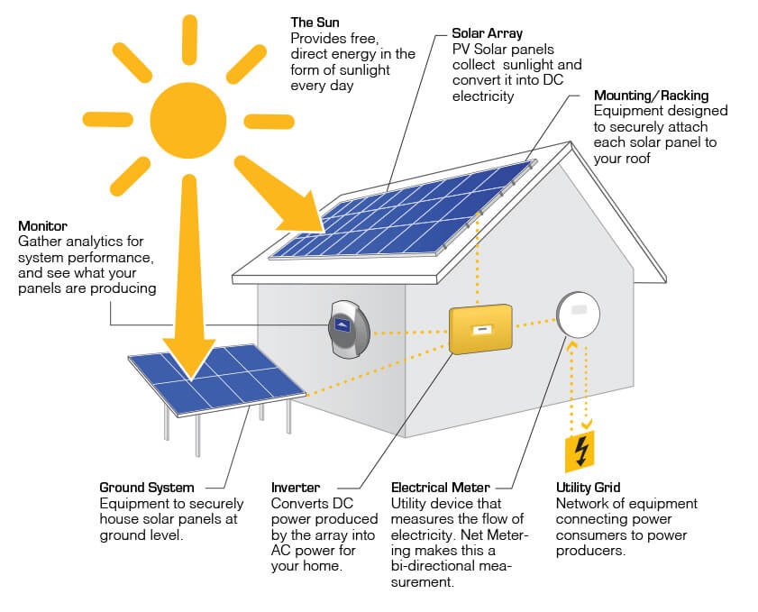 solar panel cleaning